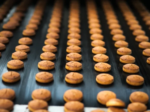 industrial-solutions-food industry